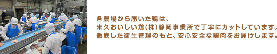 各農場から届いた鶏は、米久おいしい鶏(株)静岡事業所で丁寧にカットしています。徹底した衛生管理のもと、安心安全な鶏肉をお届けします。